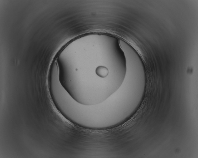 X0000095521084200801041218