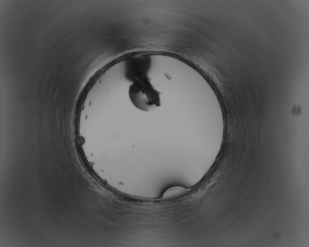 X0000095521085200801041218