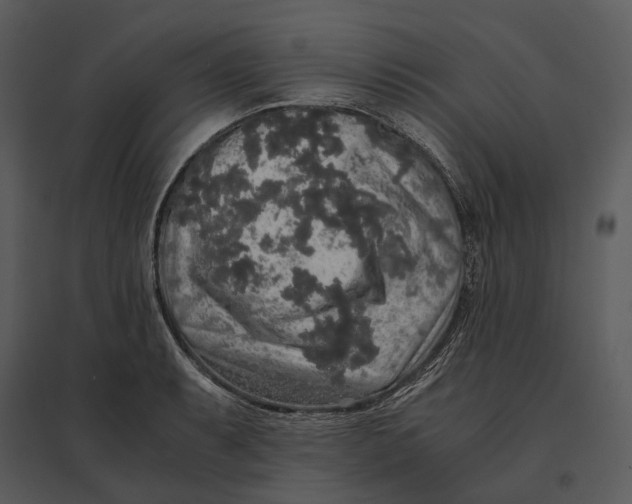 X0000095521087200801041218