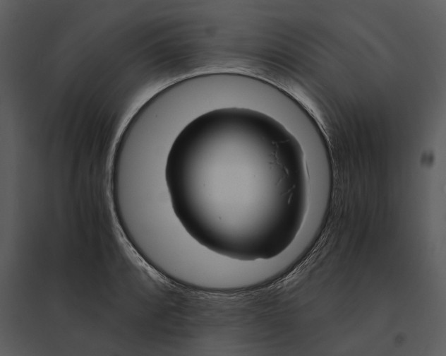 X0000095521088200801041218