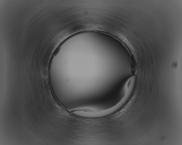 X0000095521089200801041218