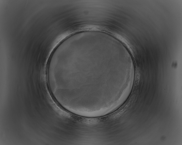 X0000095521090200801041218