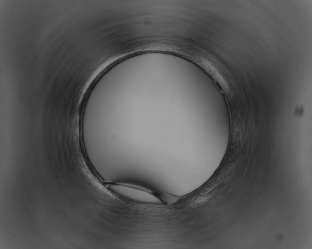 X0000095521092200801041217