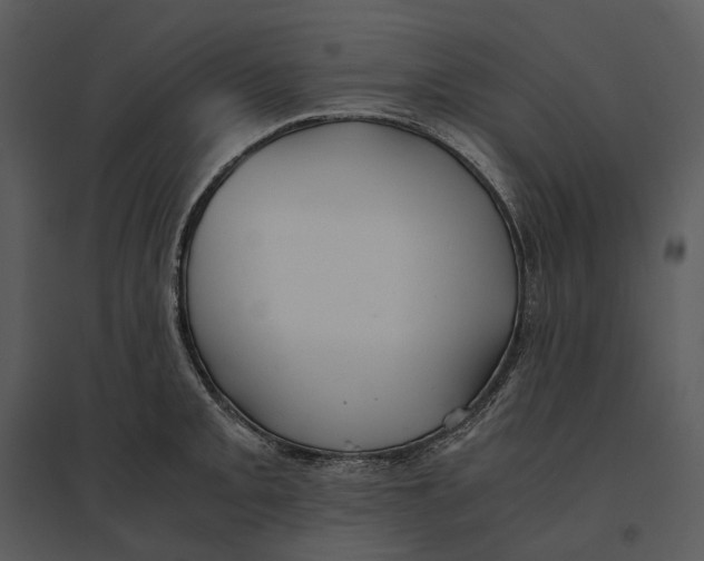 X0000095521093200801041217