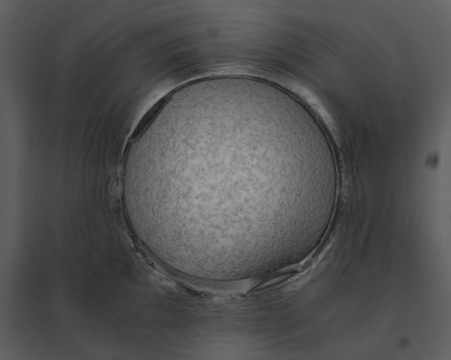 X0000095521097200801041217