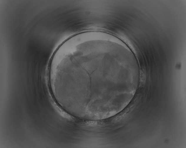 X0000095521098200801041217