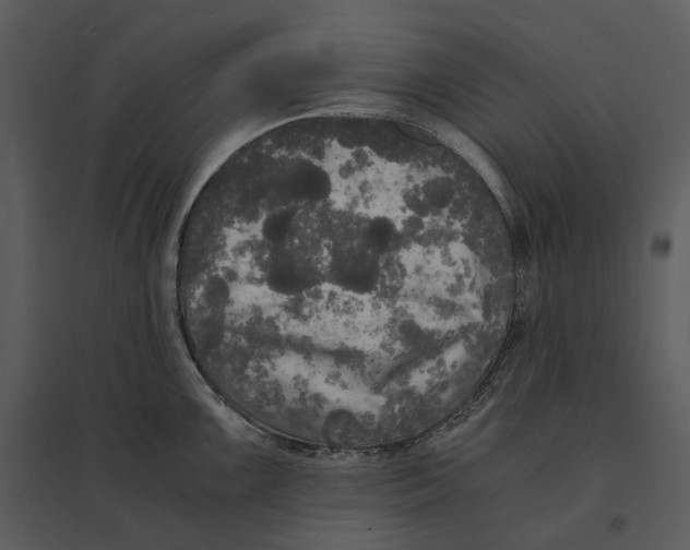 X0000095521099200801041217