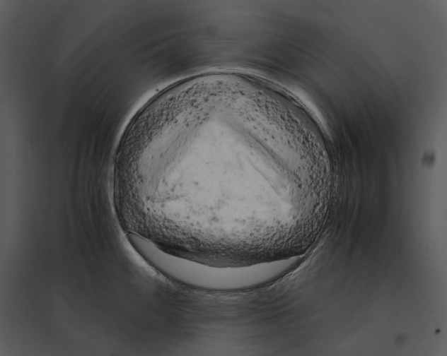 X0000095521100200801041217