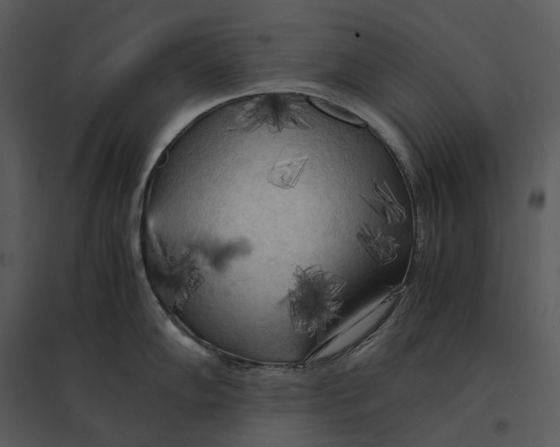 X0000095521102200801041217