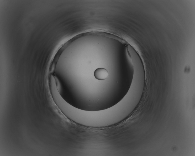 X0000095521104200801041217