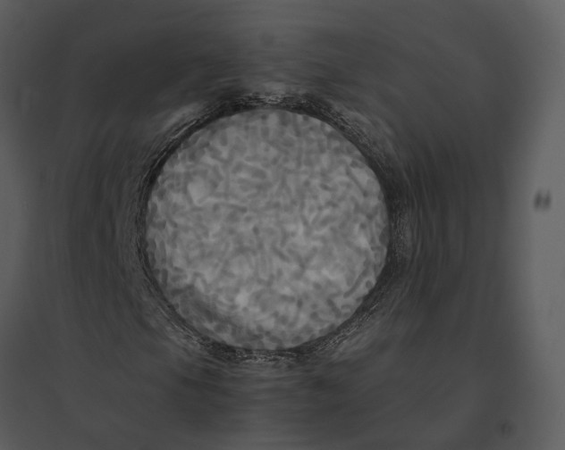 X0000095521105200801041217