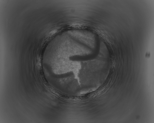 X0000095521106200801041217