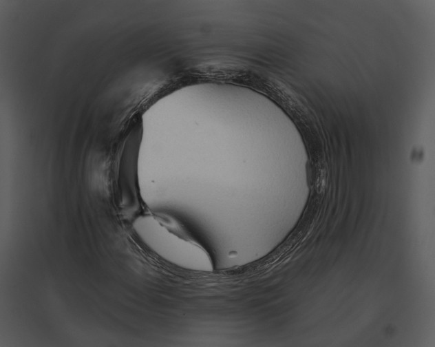 X0000095521108200801041217