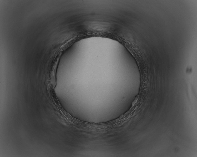 X0000095521109200801041217