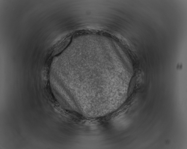 X0000095521110200801041217