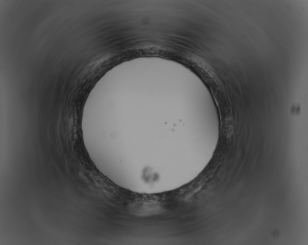 X0000095521111200801041217