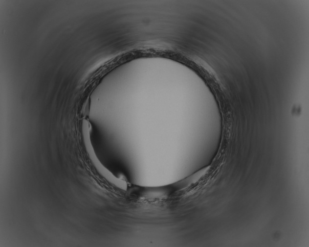 X0000095521112200801041217