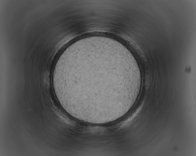 X0000095521113200801041217