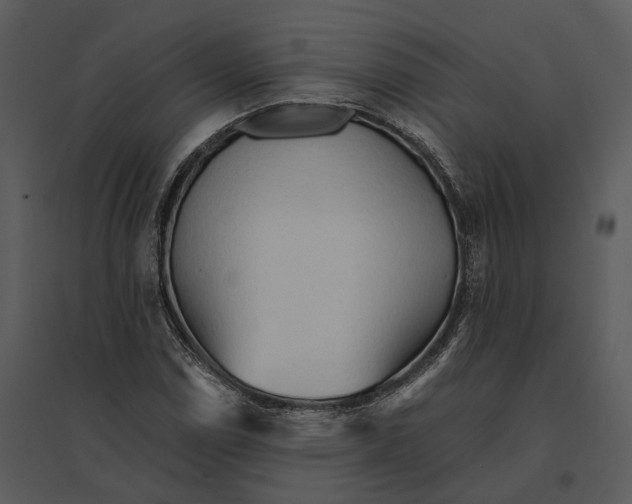 X0000095521114200801041217