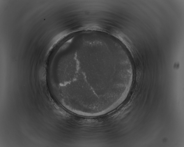 X0000095521115200801041217