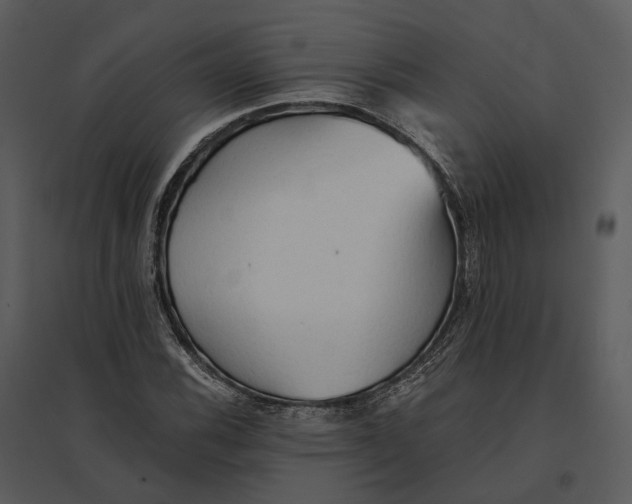 X0000095521116200801041217