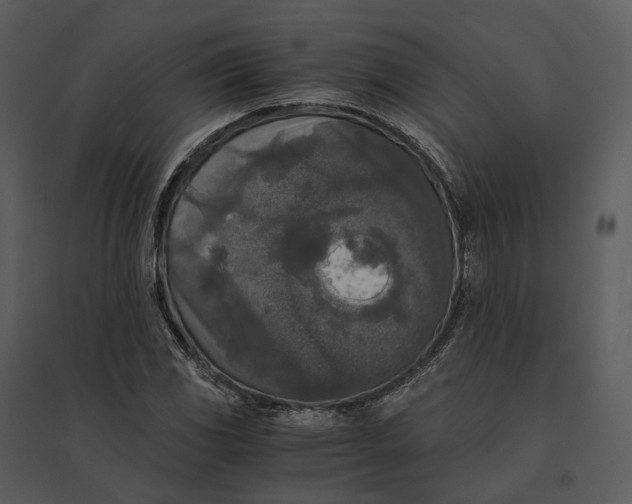 X0000095521117200801041217