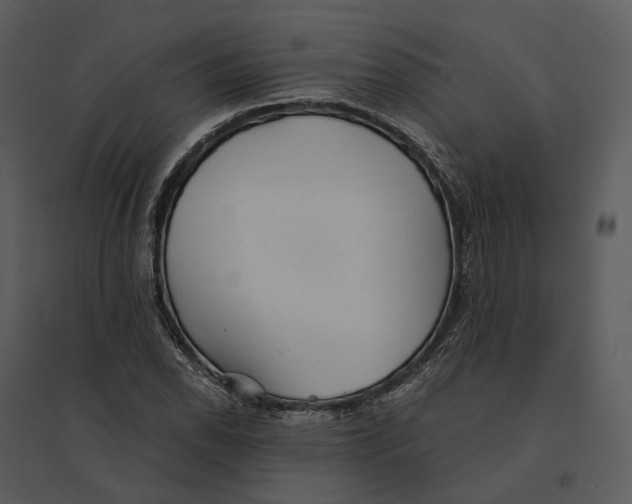 X0000095521118200801041217