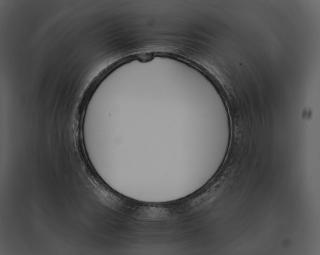 X0000095521119200801041217