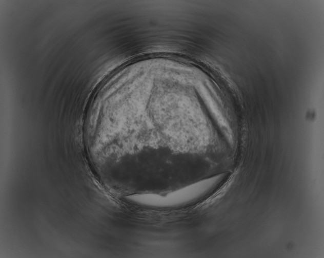 X0000095521121200801041217