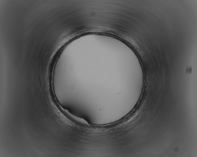 X0000095521122200801041217