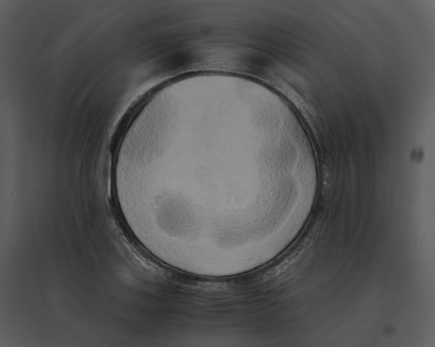 X0000095521123200801041217