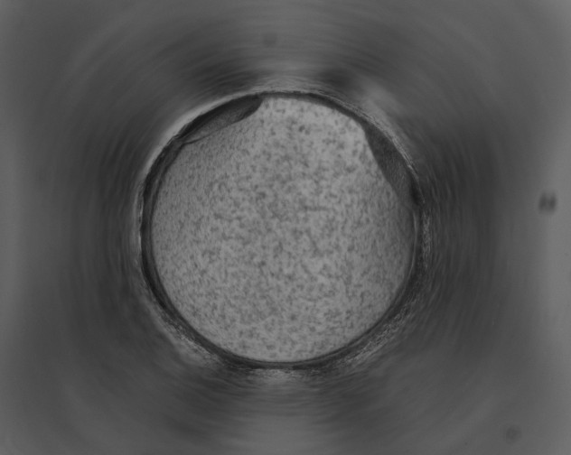 X0000095521124200801041217