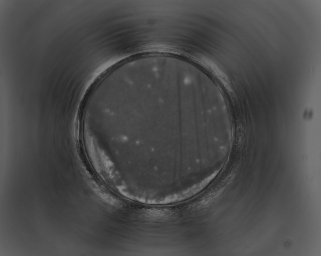 X0000095521125200801041217