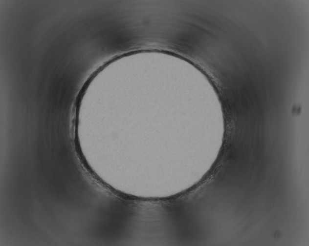 X0000095521126200801041217