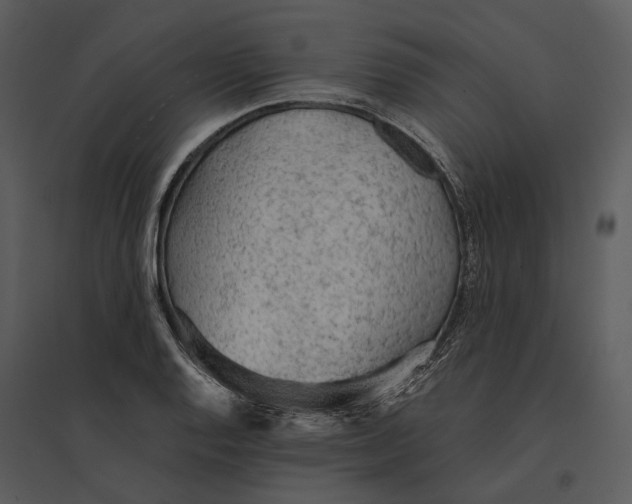 X0000095521128200801041217