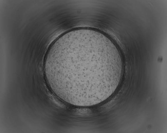 X0000095521129200801041217