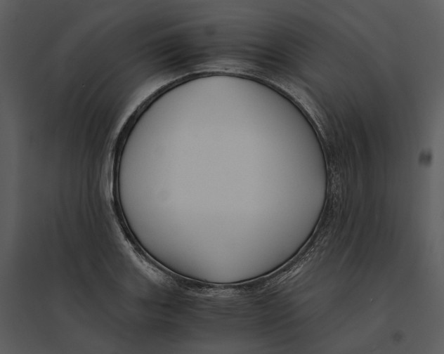 X0000095521131200801041217