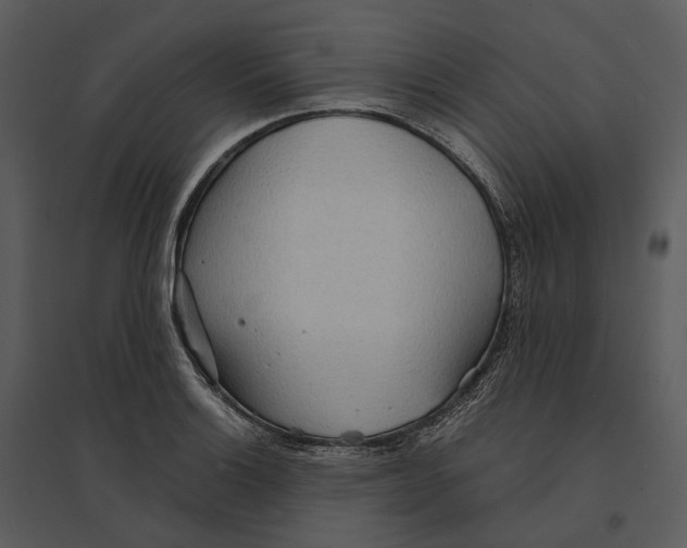 X0000095521132200801041217