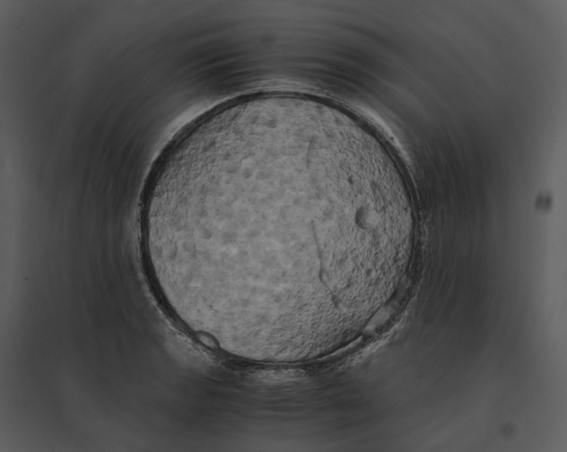 X0000095521133200801041217