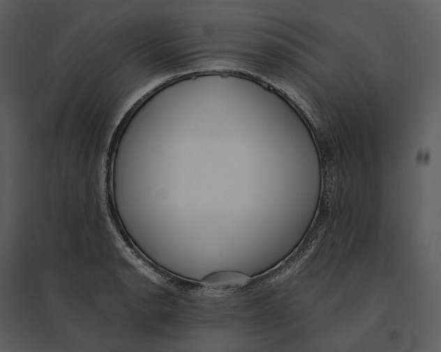 X0000095521134200801041217