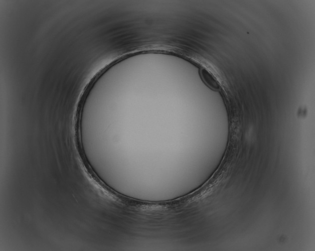 X0000095521135200801041217