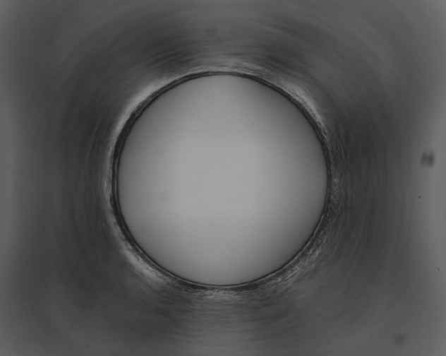 X0000095521136200801041217