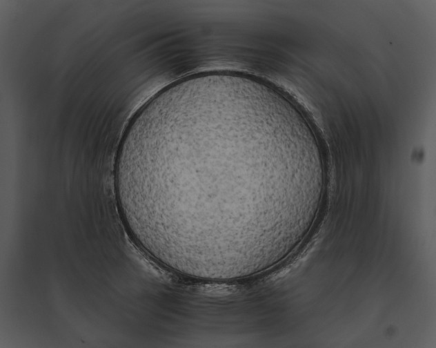 X0000095521137200801041217