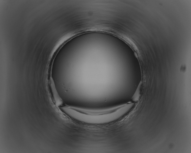 X0000095521138200801041217