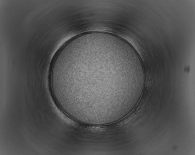 X0000095521139200801041217