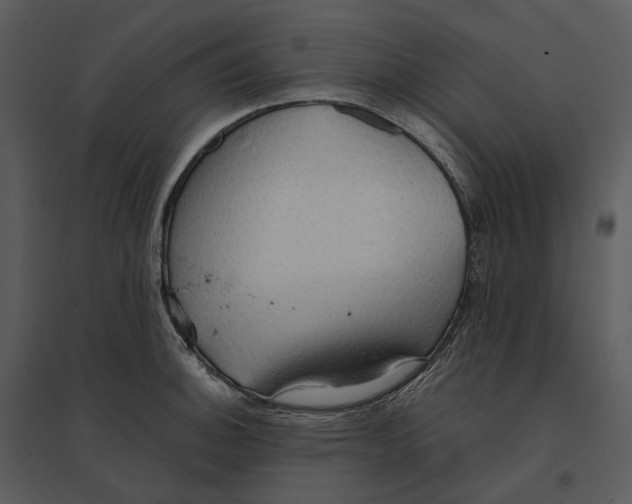 X0000095521140200801041217