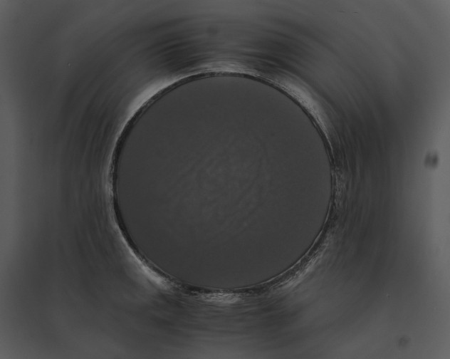 X0000095521141200801041217