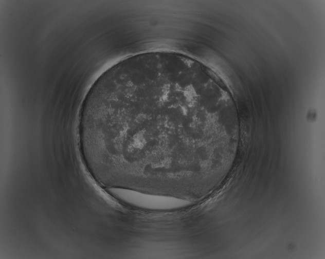 X0000095521142200801041217