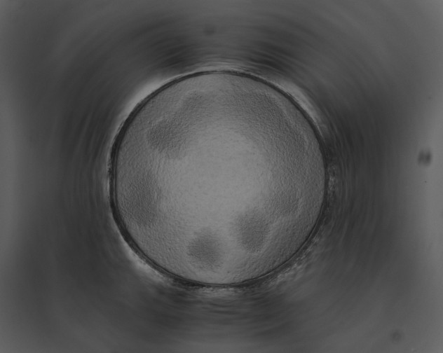 X0000095521143200801041217