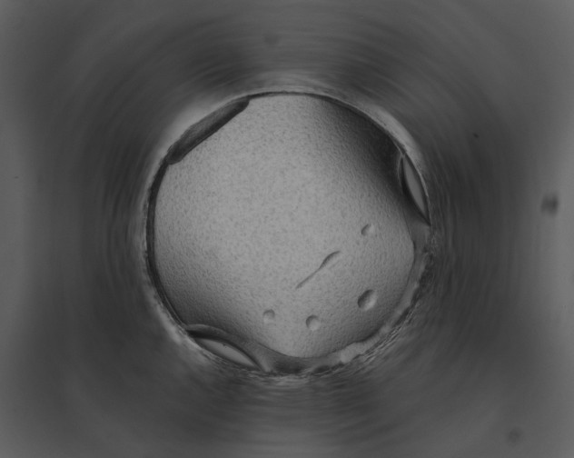 X0000095521144200801041217